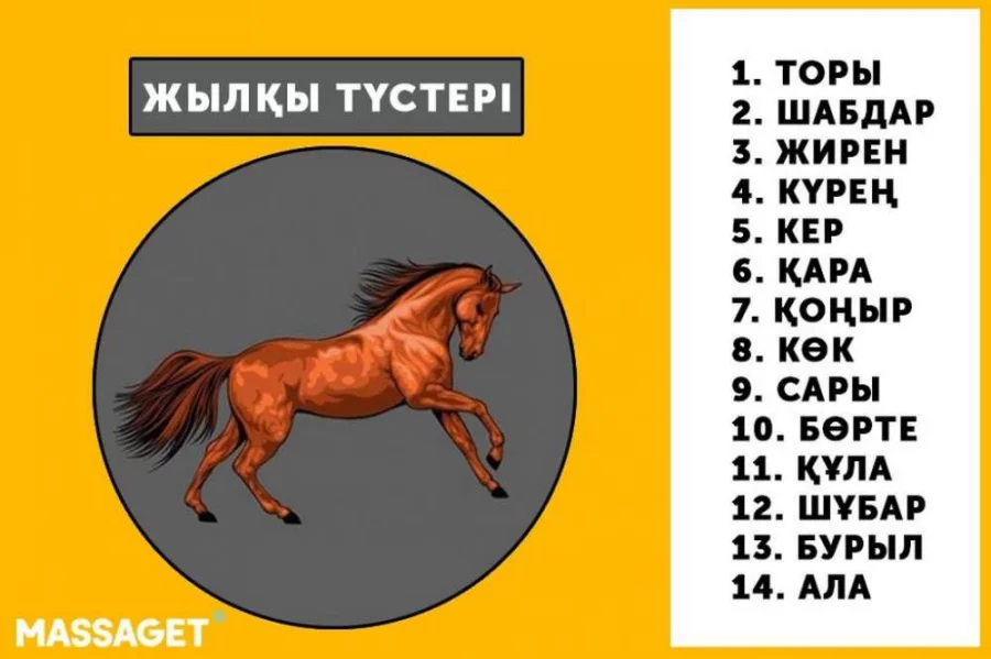 Мировоззрение Казахстана и язык свободы — интервью с Евфратом Имамбеком. Часть четвертая