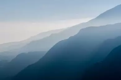 По поводу форм познания