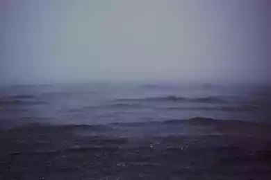 Неравнодушные авторы