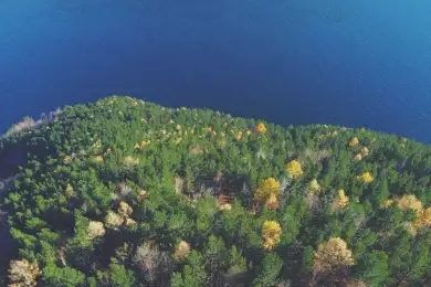 Философские парики Делеза