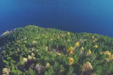 Философские парики Делеза