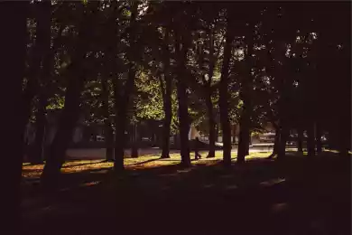 О мировоззрении