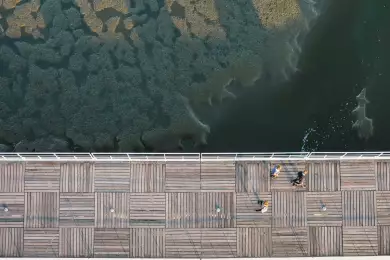 Ножницы Лумана и кибернетическая инкарнация