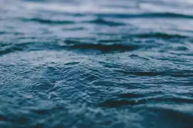 Выйти из машины