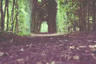 Как увидеть смерть Бога и не впасть в безумие