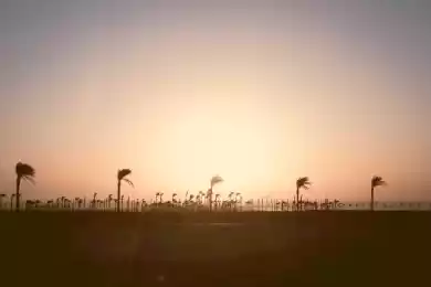 Заметки с пляжа абсурда