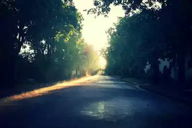 Когда сорняк синеет фигой