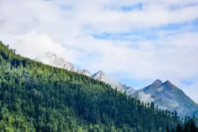 Инфократия как логос: мой ответ цифровой дистопии Хана