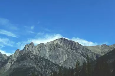 Уход Маска как зеркальный символ и предвестие распада США