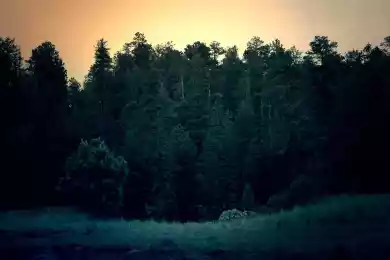 Обыкновенное чудо полета