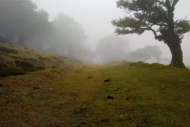 Метафизика Евы