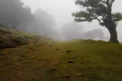 Метафизика Евы