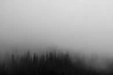 Коль сходство есть, есть и родство