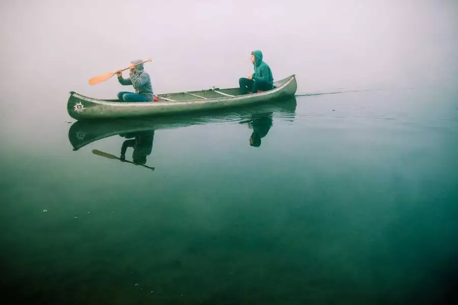 Когнитивное шулерство или границы ризомы