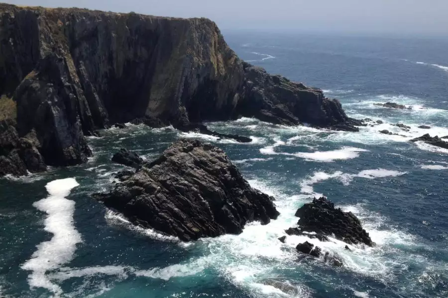 Что такое Сковорода