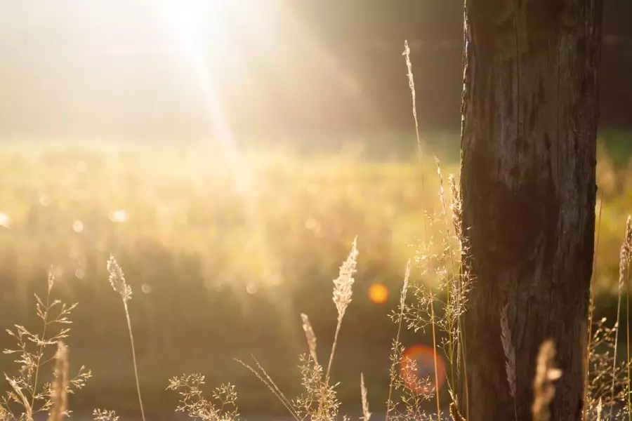 Мышление антимонополиста