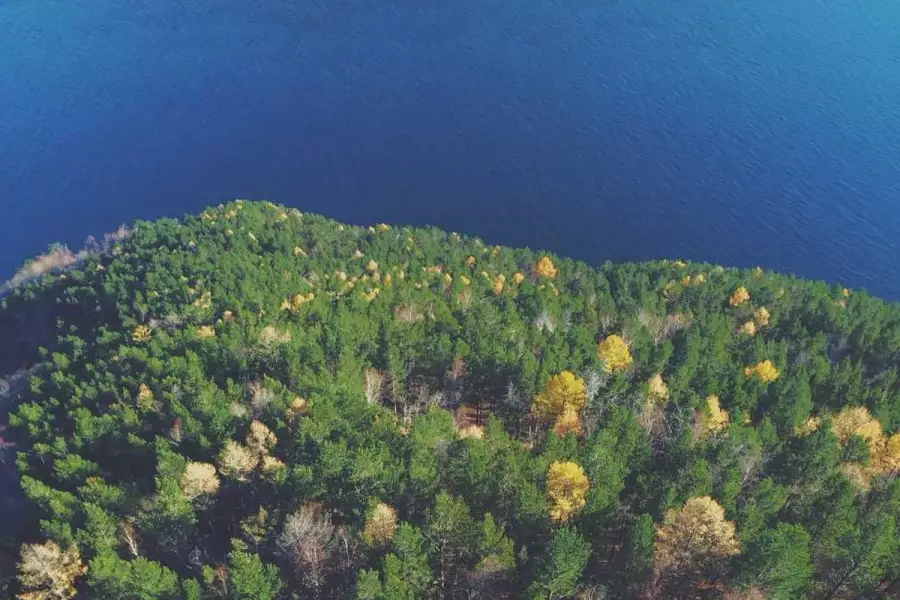 Философские парики Делеза