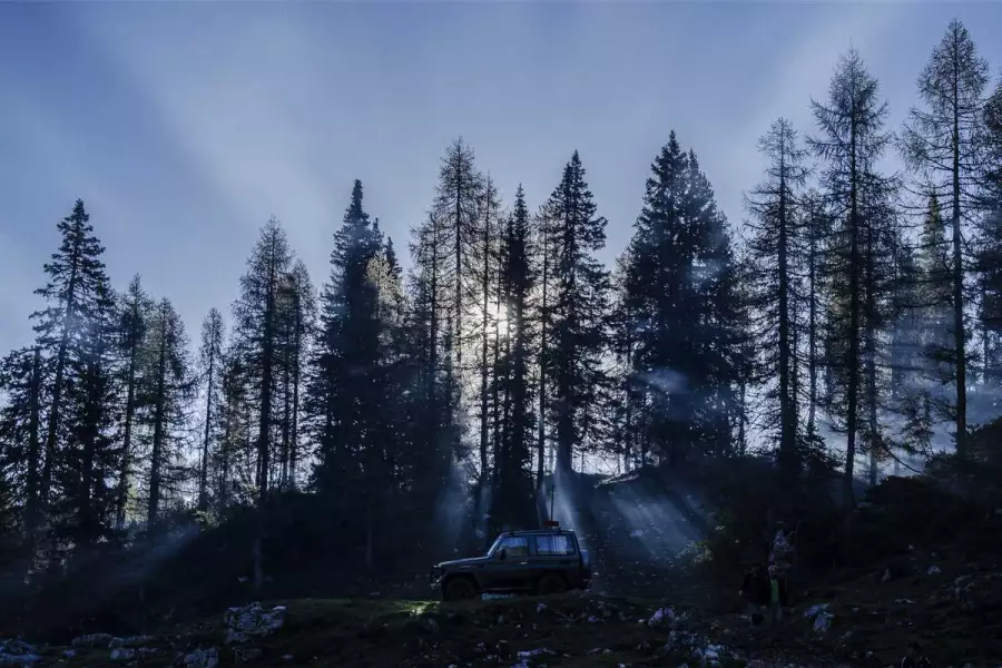 Перекличка с сутью