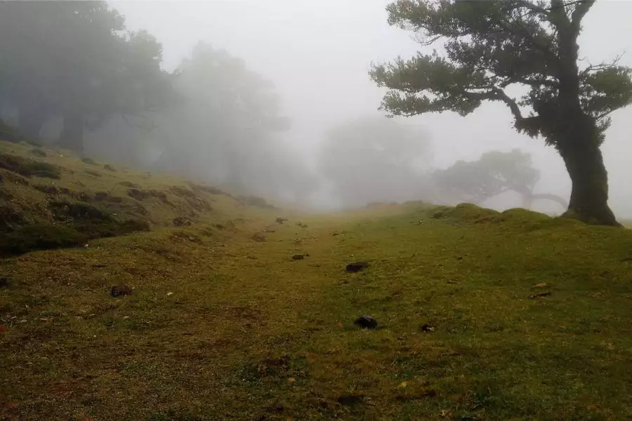 Метафизика Евы