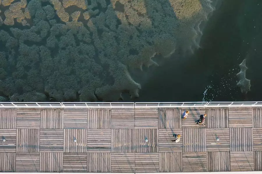 Платон как клинок